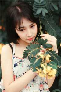 沈以辞闻初小说