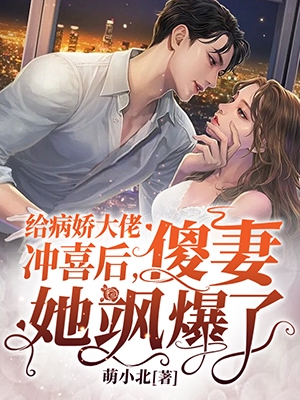 给病娇大佬冲喜后傻妻她飒爆了