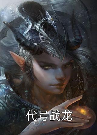代号战龙