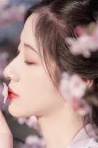 浅笑安然免费阅读