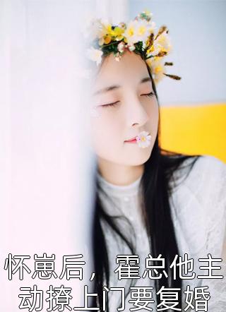怀崽后,霍总他主动撩上门要复婚