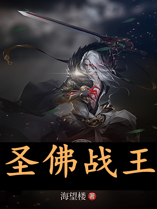 圣佛战王小说