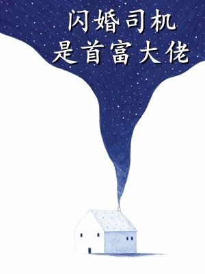 闪婚司机是首富大佬