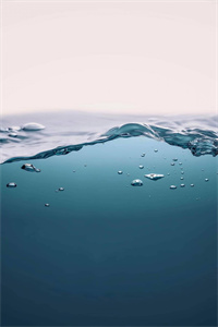 沉浮