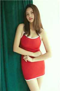 程今安傅庭川全本